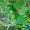 SAMPLE_22.webp