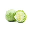 Alface Iceberg