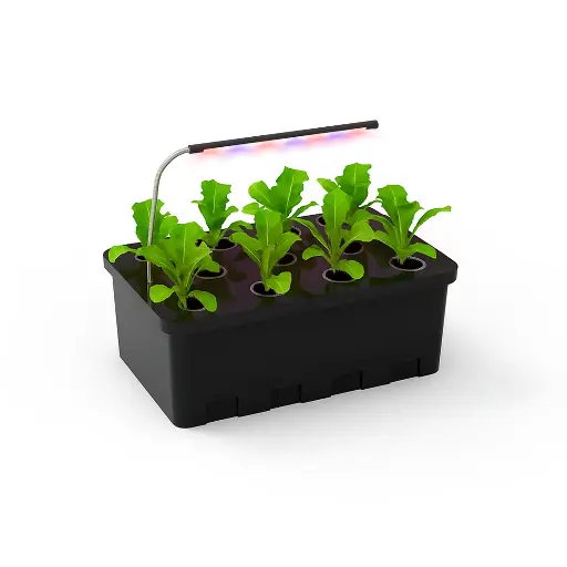 [KITCLONWNUT11] Estufa hidropônica interna Cloner L11 - Estação de propagação de LED com luz e nutrientes
