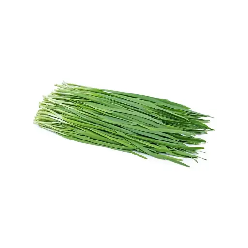 [SEED24] Cebolinha